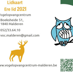 Lidmaatschappen